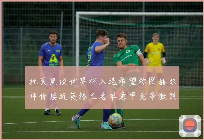 托莫里谈世界杯入选希望称图赫尔评价接近英格兰名单意甲竞争激烈